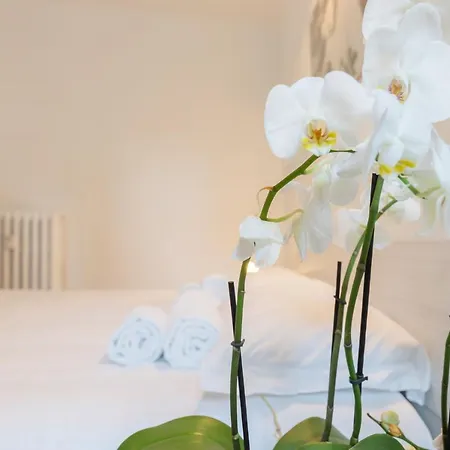 Fondazione Prada - Exclusive Loft of Cinema ☆☆☆☆☆-2